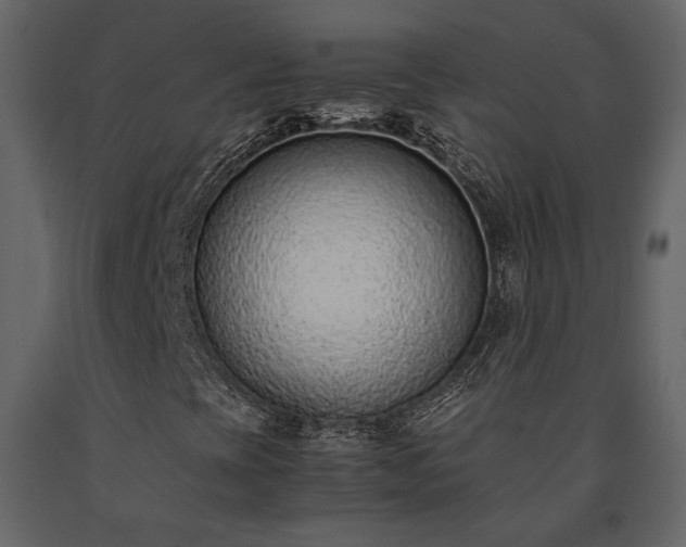 X0000091521393200708241640
