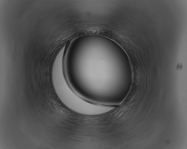 X0000091521394200708241640
