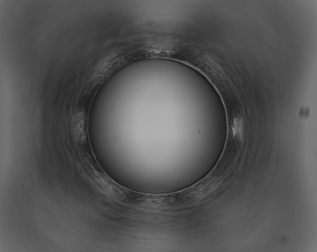 X0000091521396200708241640