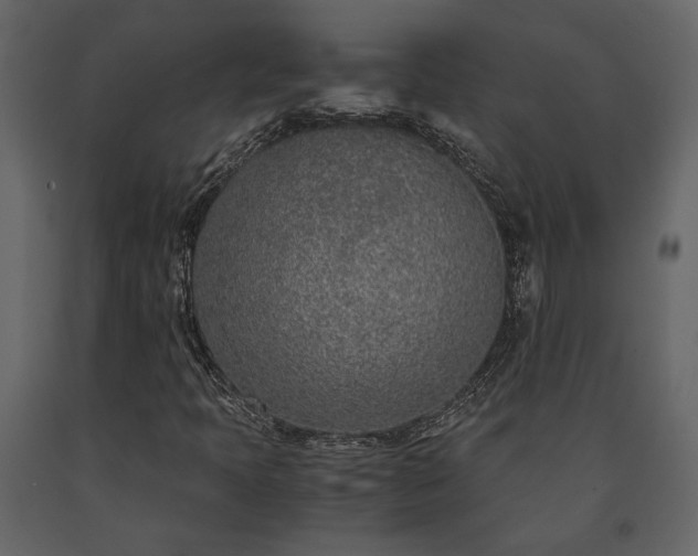 X0000091521397200708241640