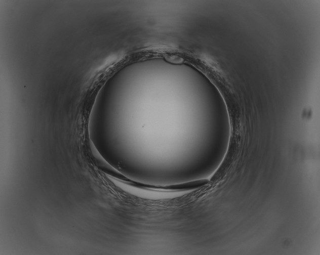 X0000091521398200708241640