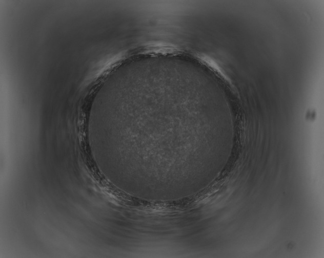 X0000091521399200708241640