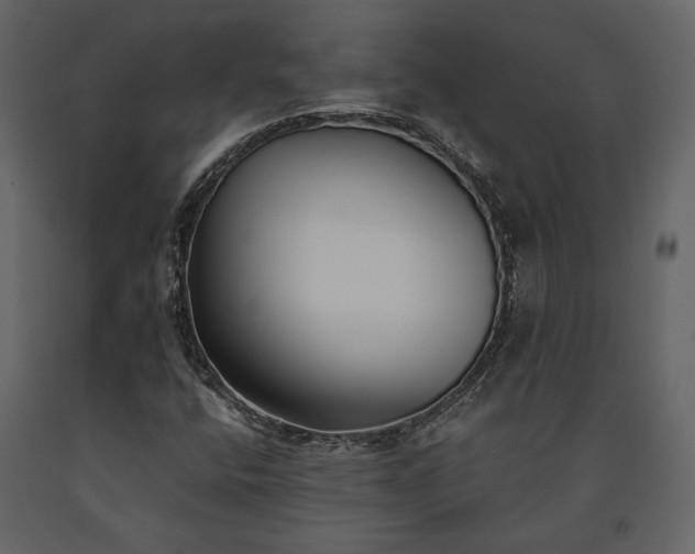 X0000091521400200708241640