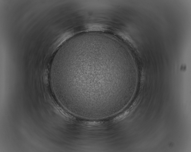 X0000091521401200708241640
