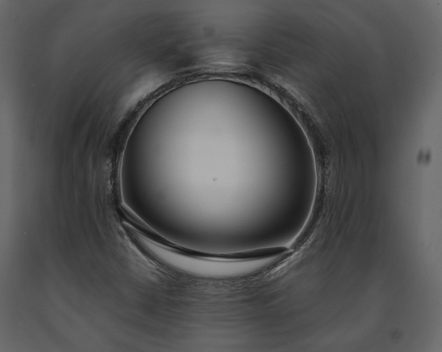 X0000091521402200708241640
