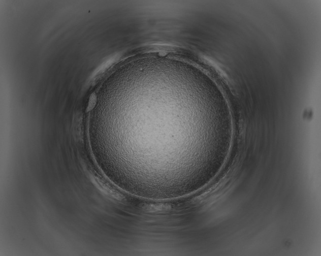 X0000091521403200708241640