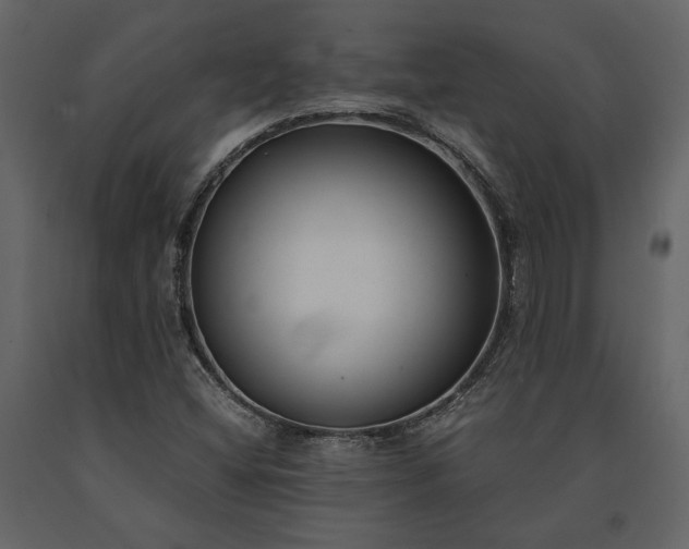 X0000091521404200708241640