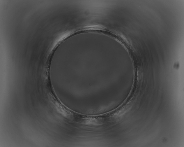 X0000091521405200708241640
