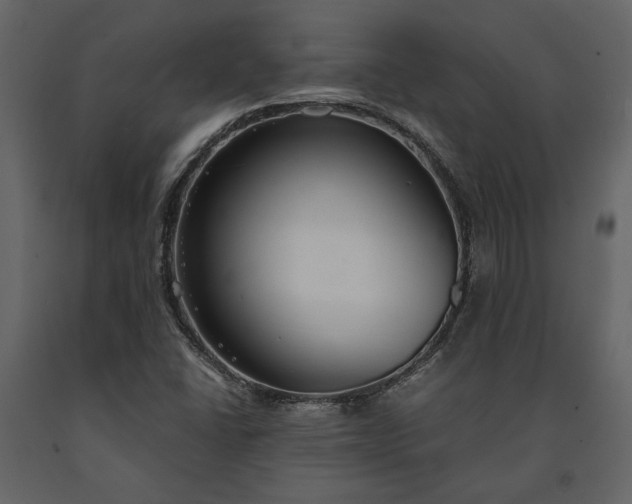 X0000091521406200708241640