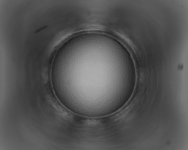 X0000091521407200708241640