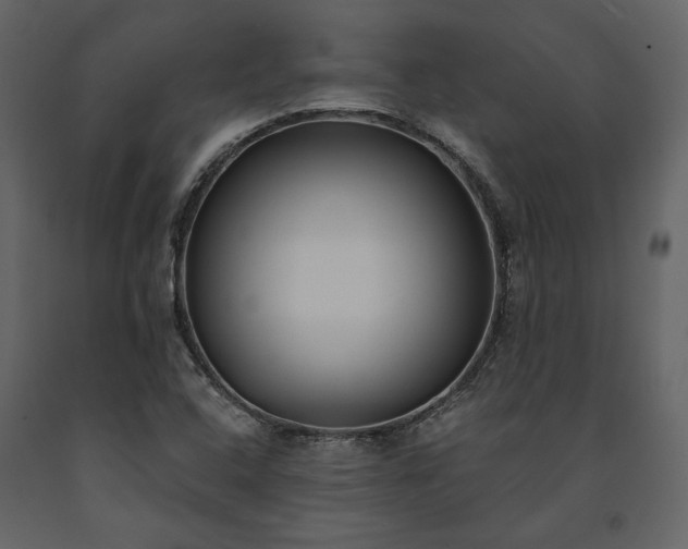 X0000091521408200708241640