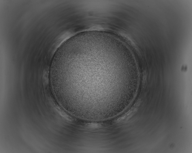 X0000091521409200708241640