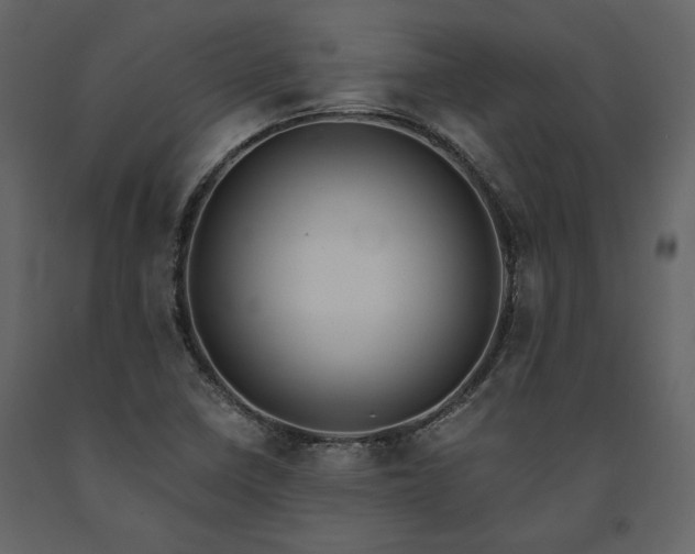 X0000091521410200708241640