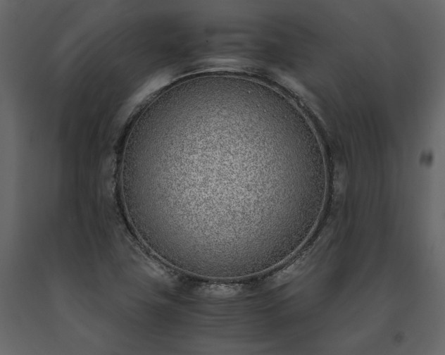 X0000091521411200708241640