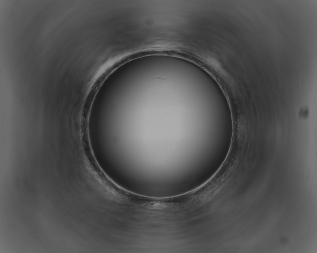 X0000091521412200708241640