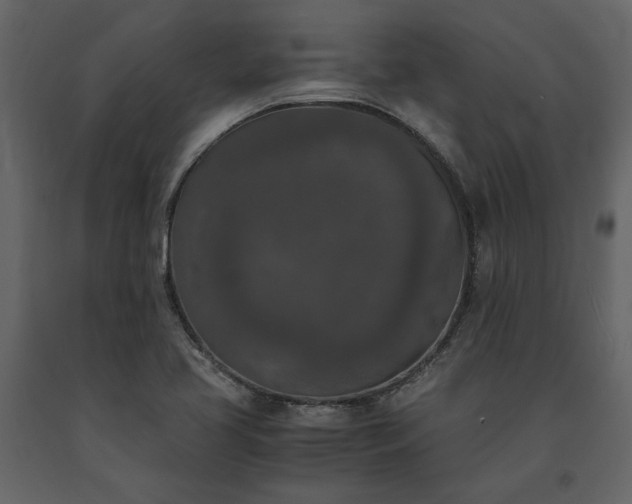X0000091521413200708241640
