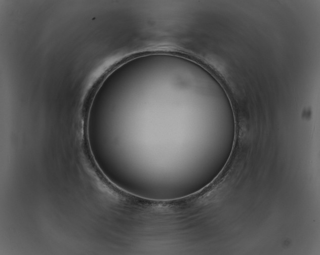X0000091521414200708241640
