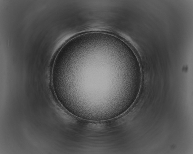 X0000091521415200708241640