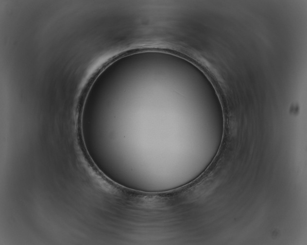 X0000091521416200708241640