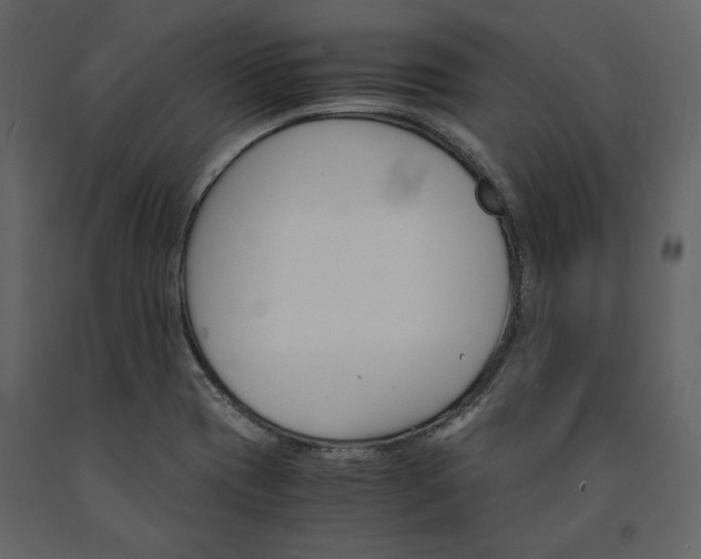X0000091521417200708241640