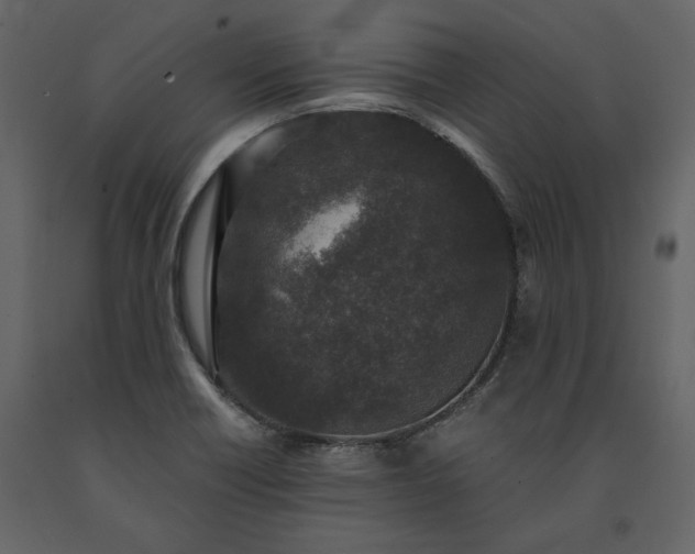 X0000091521418200708241640