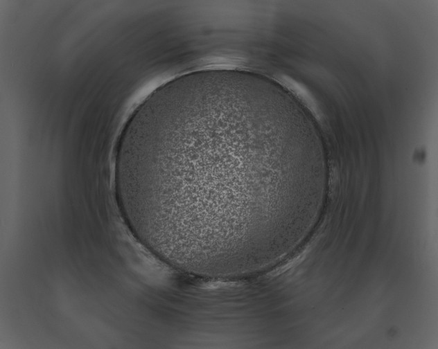 X0000091521419200708241640