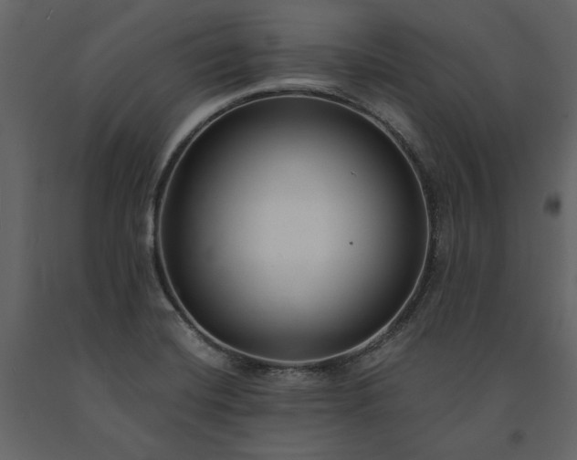 X0000091521420200708241640