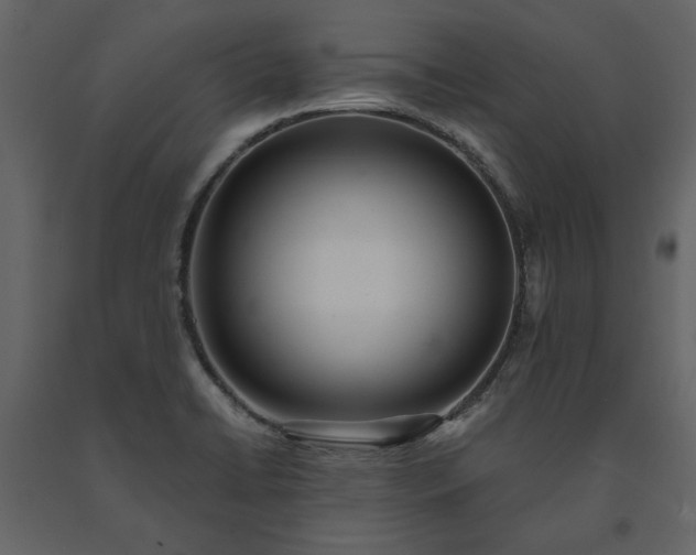 X0000091521422200708241640