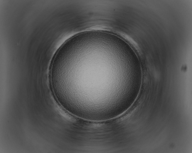X0000091521423200708241640
