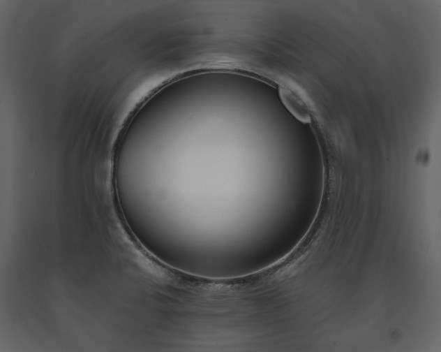 X0000091521424200708241640