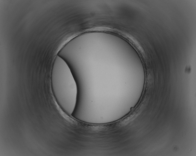 X0000091521425200708241640