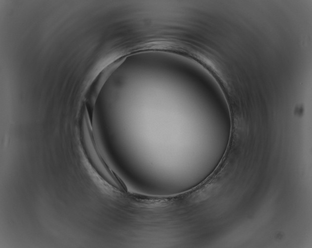 X0000091521426200708241640
