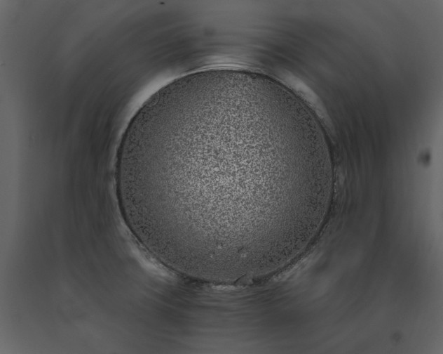 X0000091521427200708241641