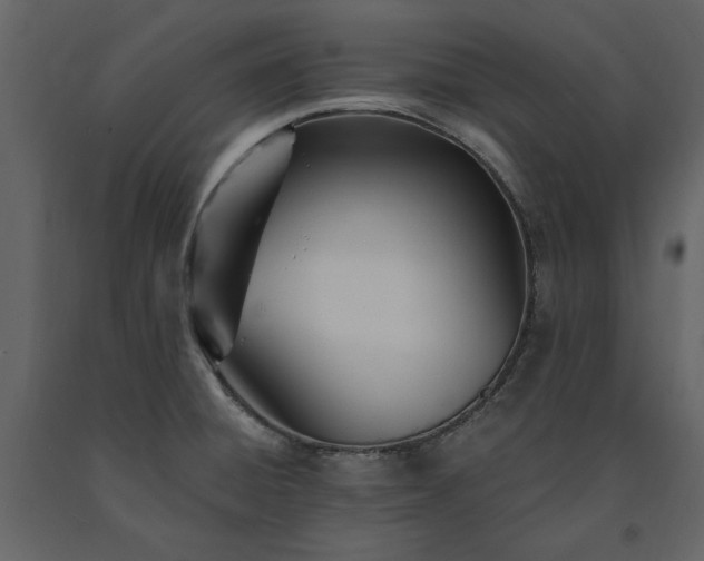 X0000091521428200708241641