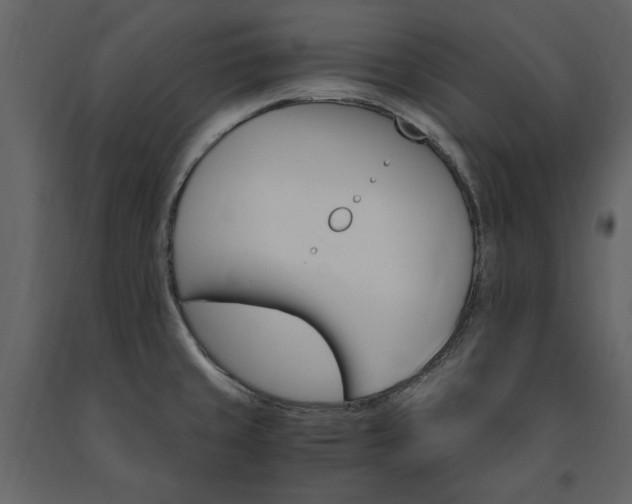 X0000091521429200708241641