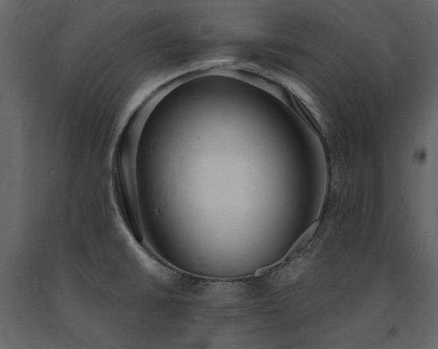 X0000091521430200708241641