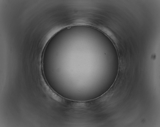 X0000091521431200708241641