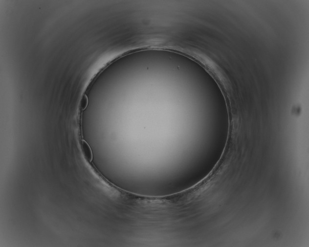 X0000091521432200708241641