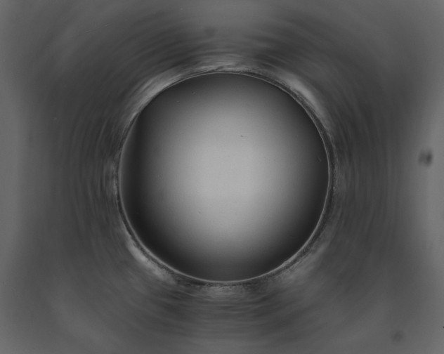 X0000091521433200708241641