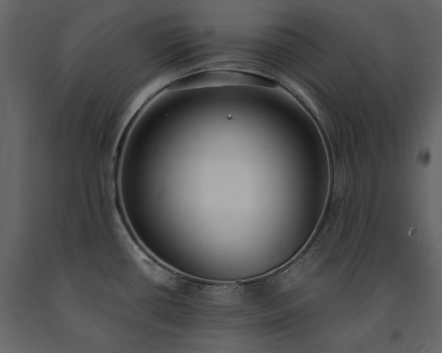 X0000091521434200708241641