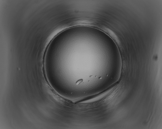 X0000091521435200708241641