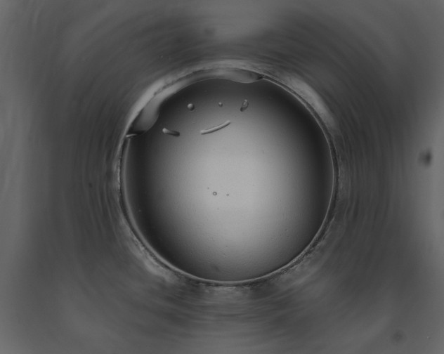 X0000091521436200708241641