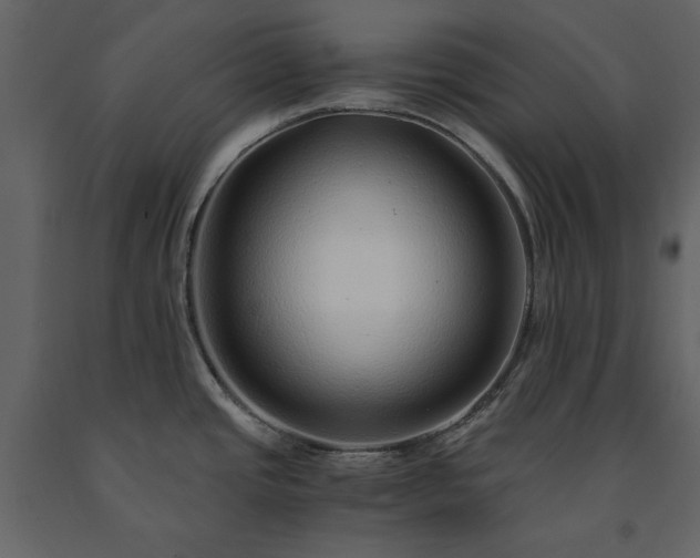 X0000091521437200708241641