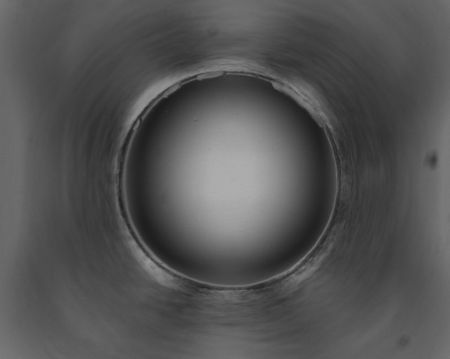 X0000091521438200708241641