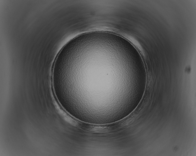X0000091521439200708241641