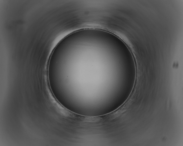 X0000091521440200708241641