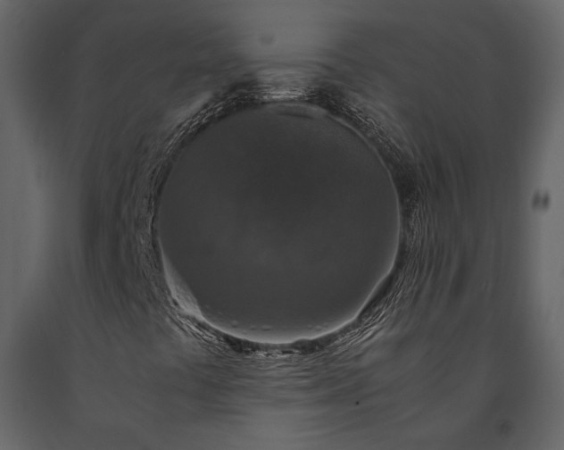 X0000091521441200708241640