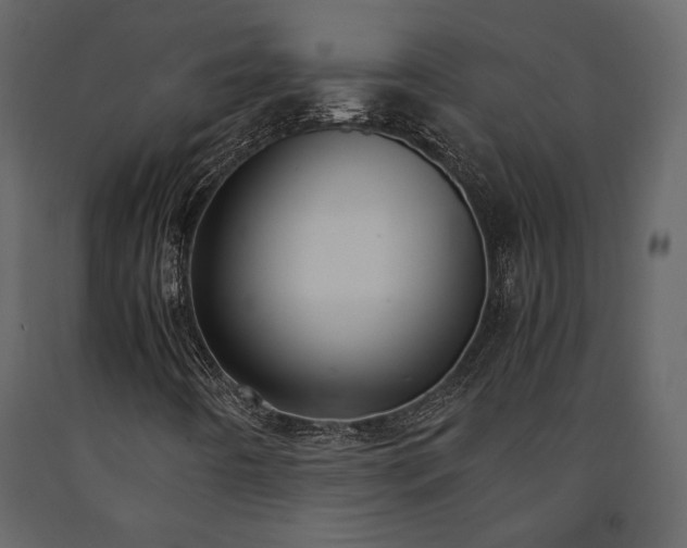 X0000091521442200708241640