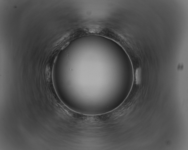 X0000091521443200708241640