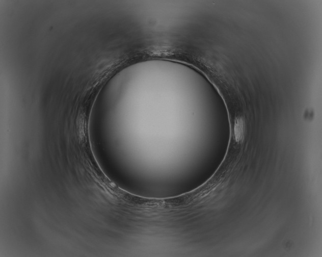 X0000091521444200708241640